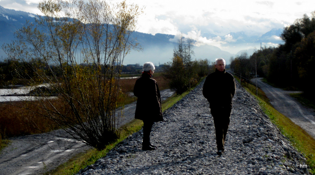 Im Rheindelta des Alpenrheins