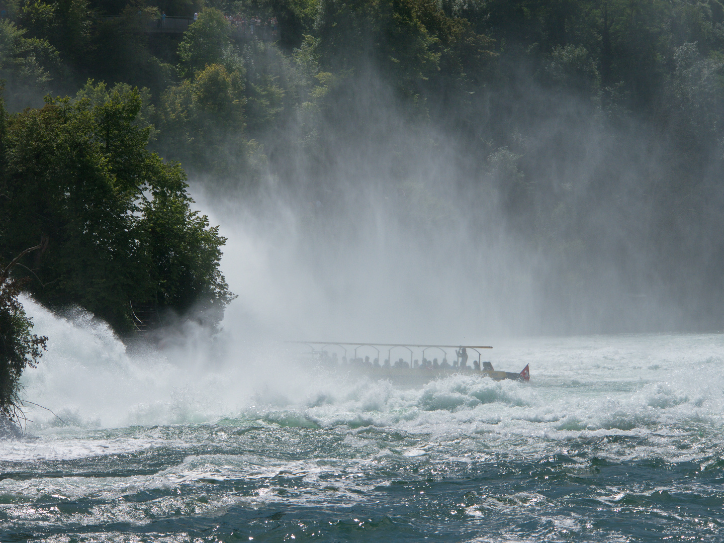 Im Rheinfall