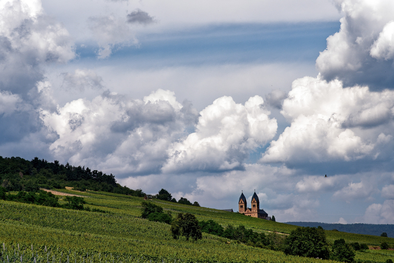 Im Rheingau