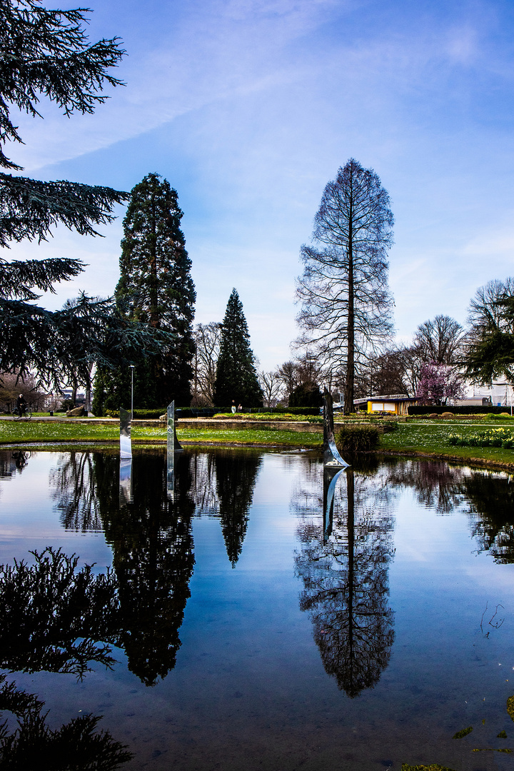 im Rheinpark zu Köln