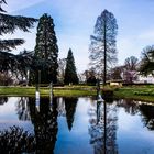 im Rheinpark zu Köln