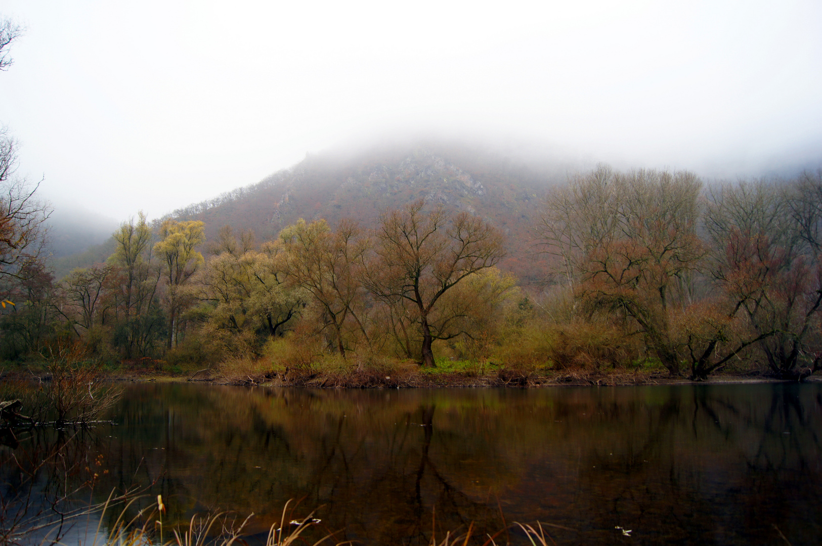 Im Rheintal bei Bingen mit herbstlichen Nebelkleid