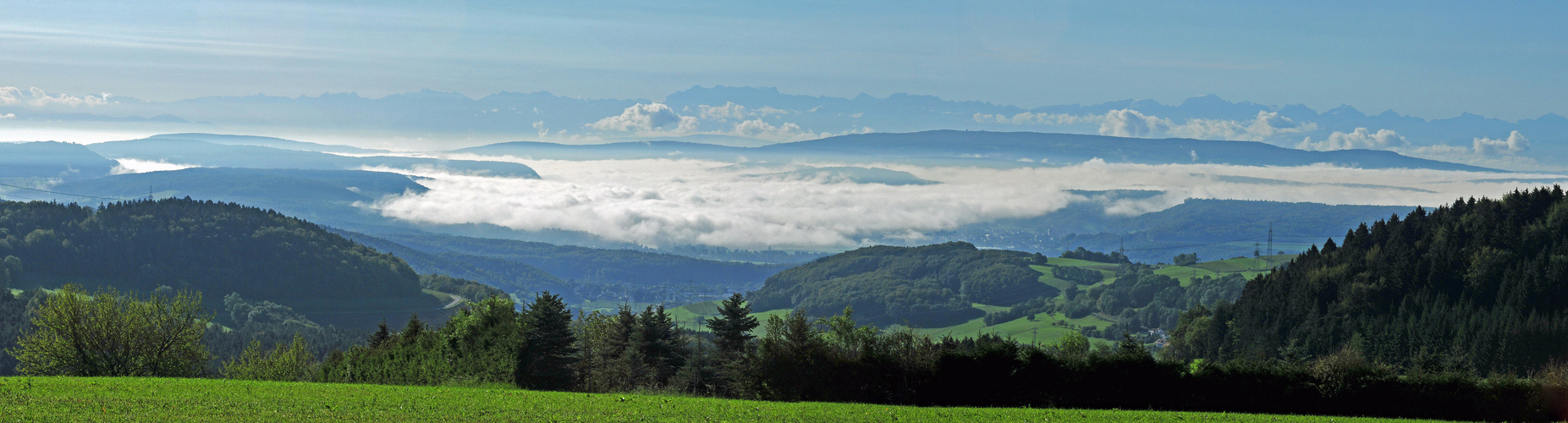 Im Rheintal ist Nebel