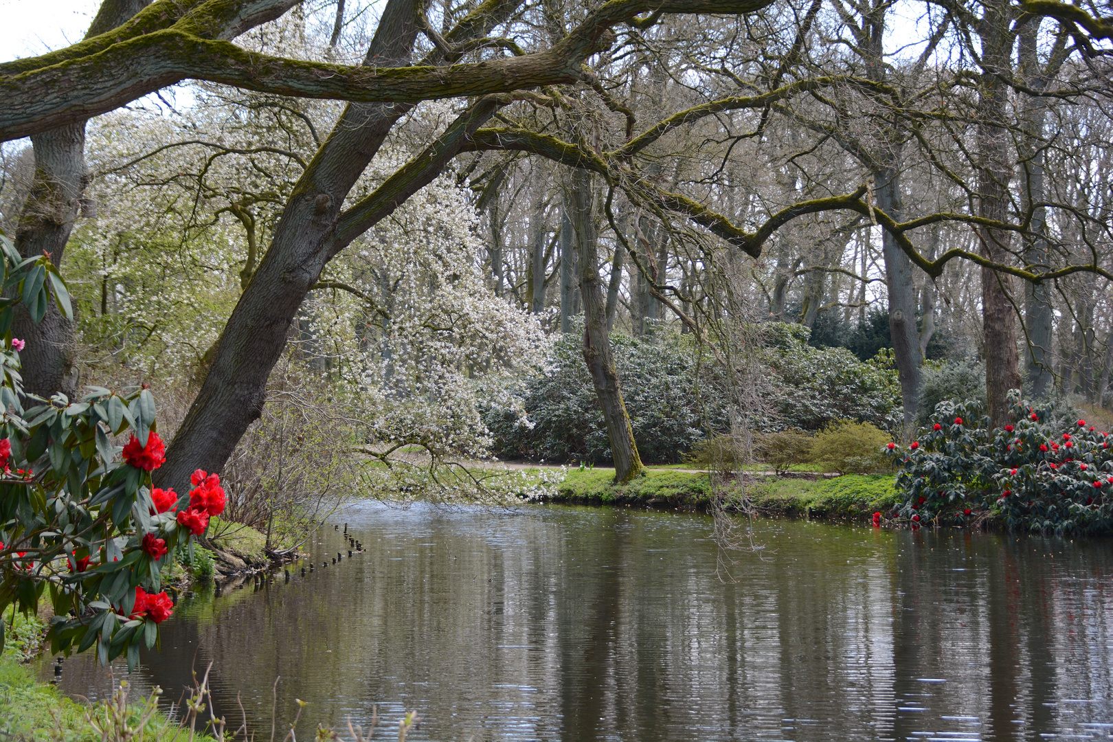 Im Rhododendronpark Bremen