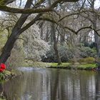 Im Rhododendronpark Bremen