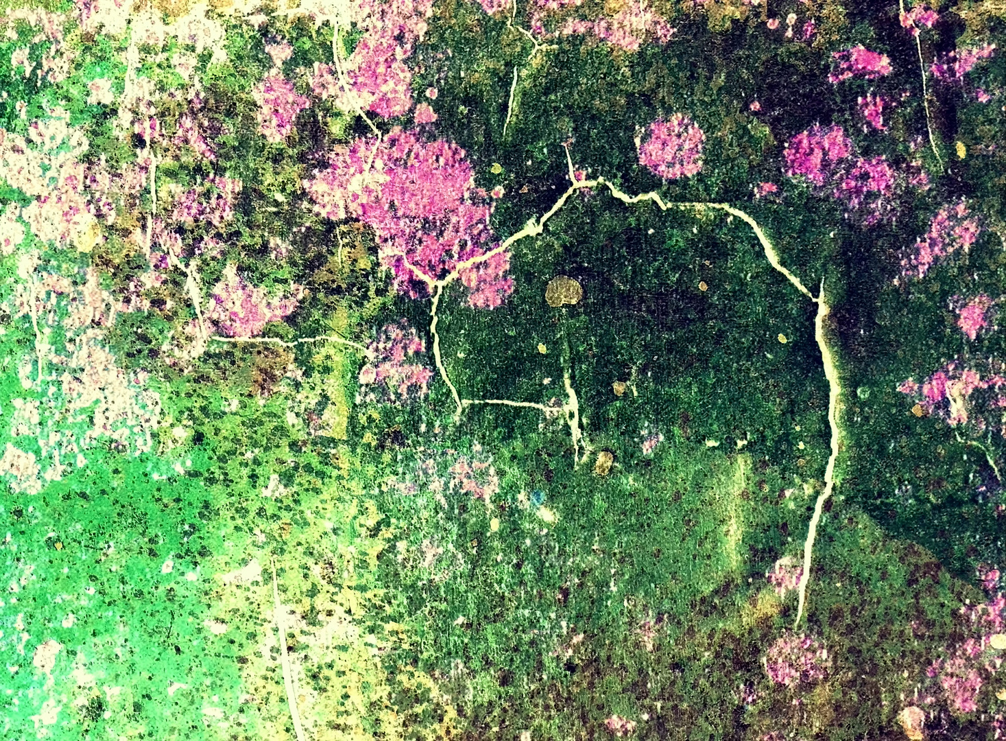 im Rhododendronwald