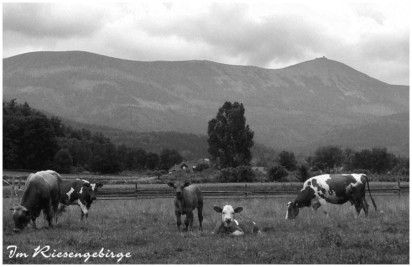 Im Riesengebirge