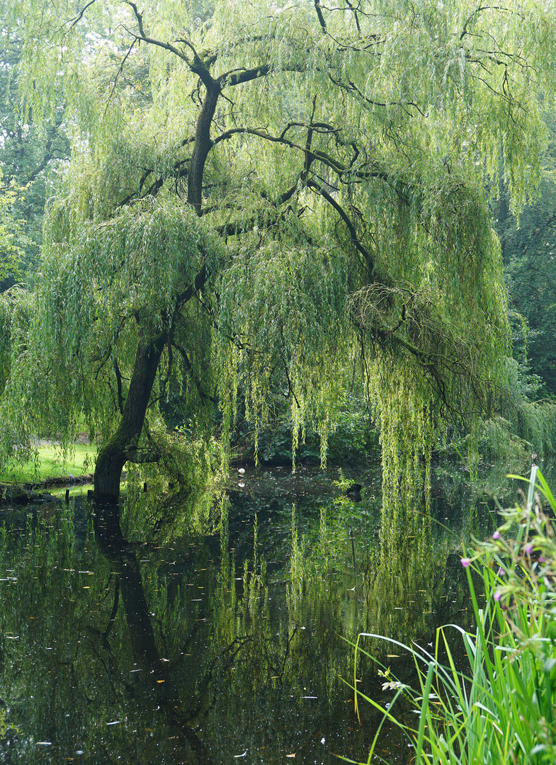 Im Ritzebütteler Schlosspark