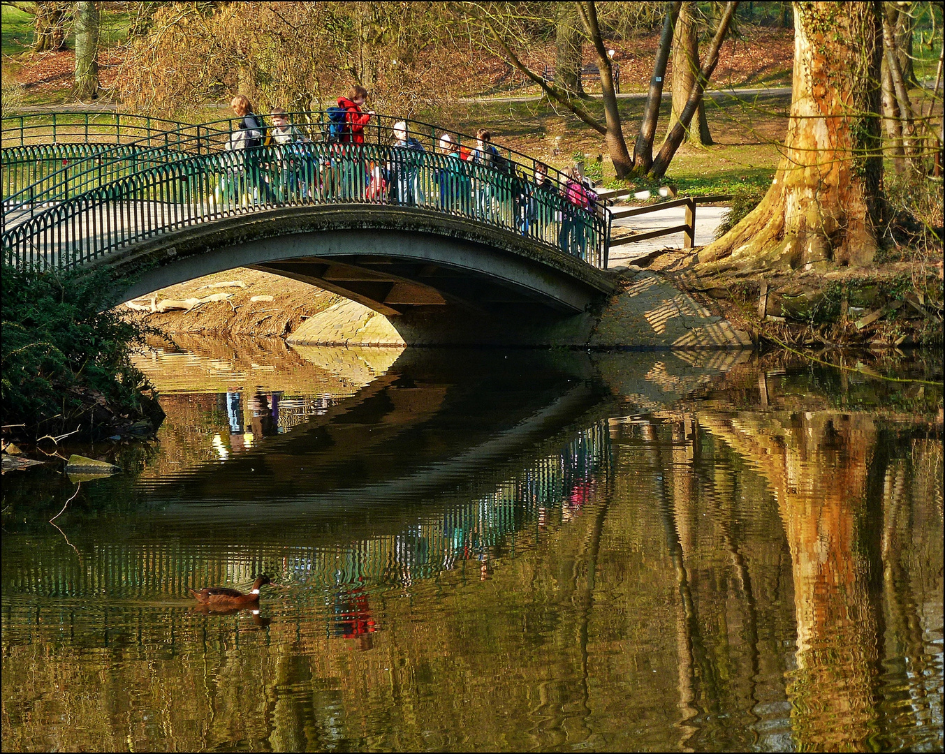 Im Rombergpark Dortmund im Monat März