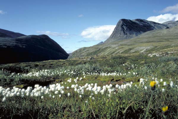 Im Rondane