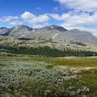 Im Rondane Nationalpark