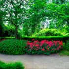 Im Rosarium Hattersheim