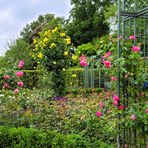 Im Rosengarten 