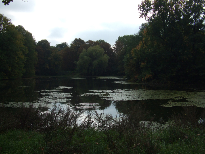 Im Rosenthal in Leipzig