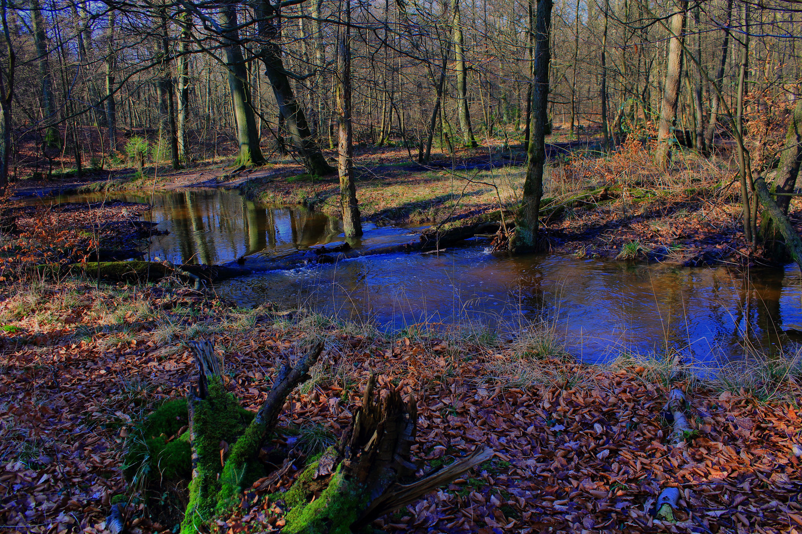 Im Rotbachtal