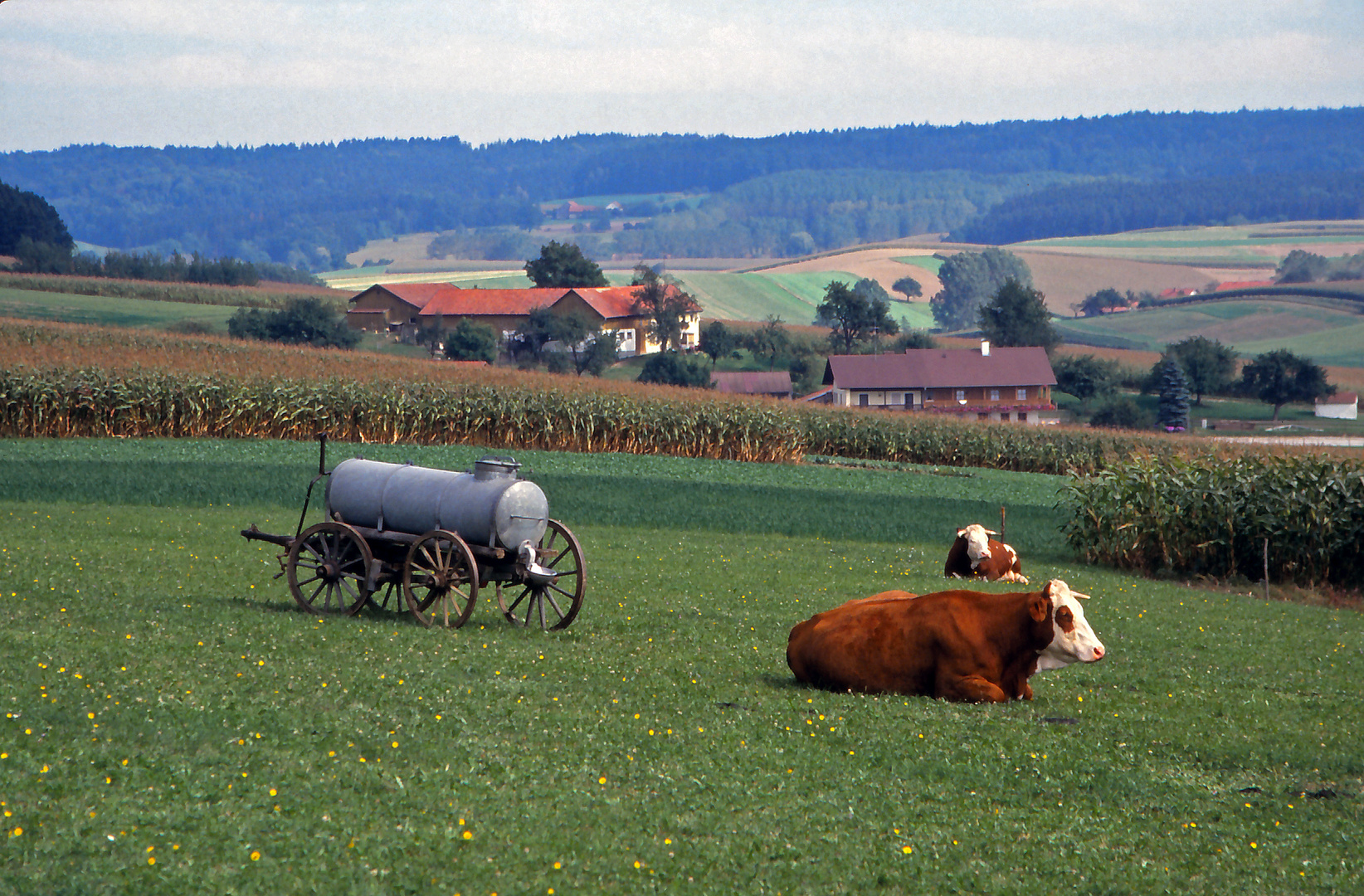 Im Rottal (Niederbayern)  -2-