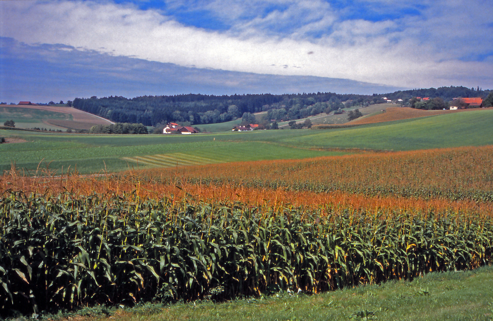 Im Rottal (Niederbayern)