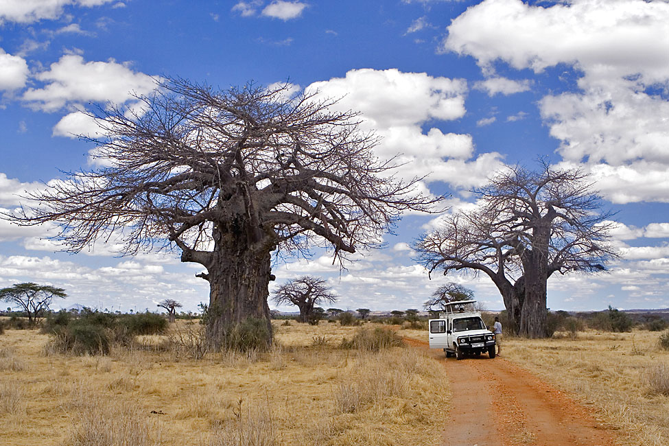 Im Ruaha Nationalpark