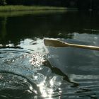 Im Ruderboot auf dem Arendsee