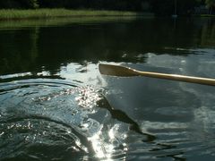 Im Ruderboot auf dem Arendsee