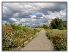 Im Rüschpark/ Finkenwerder