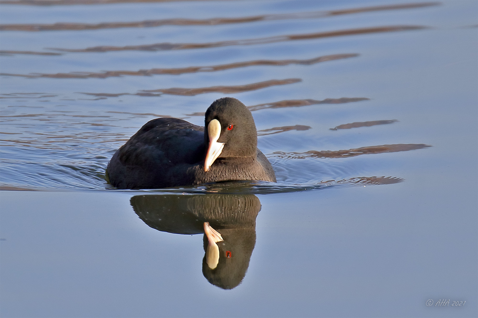 Im ruhigen Fahrwasser