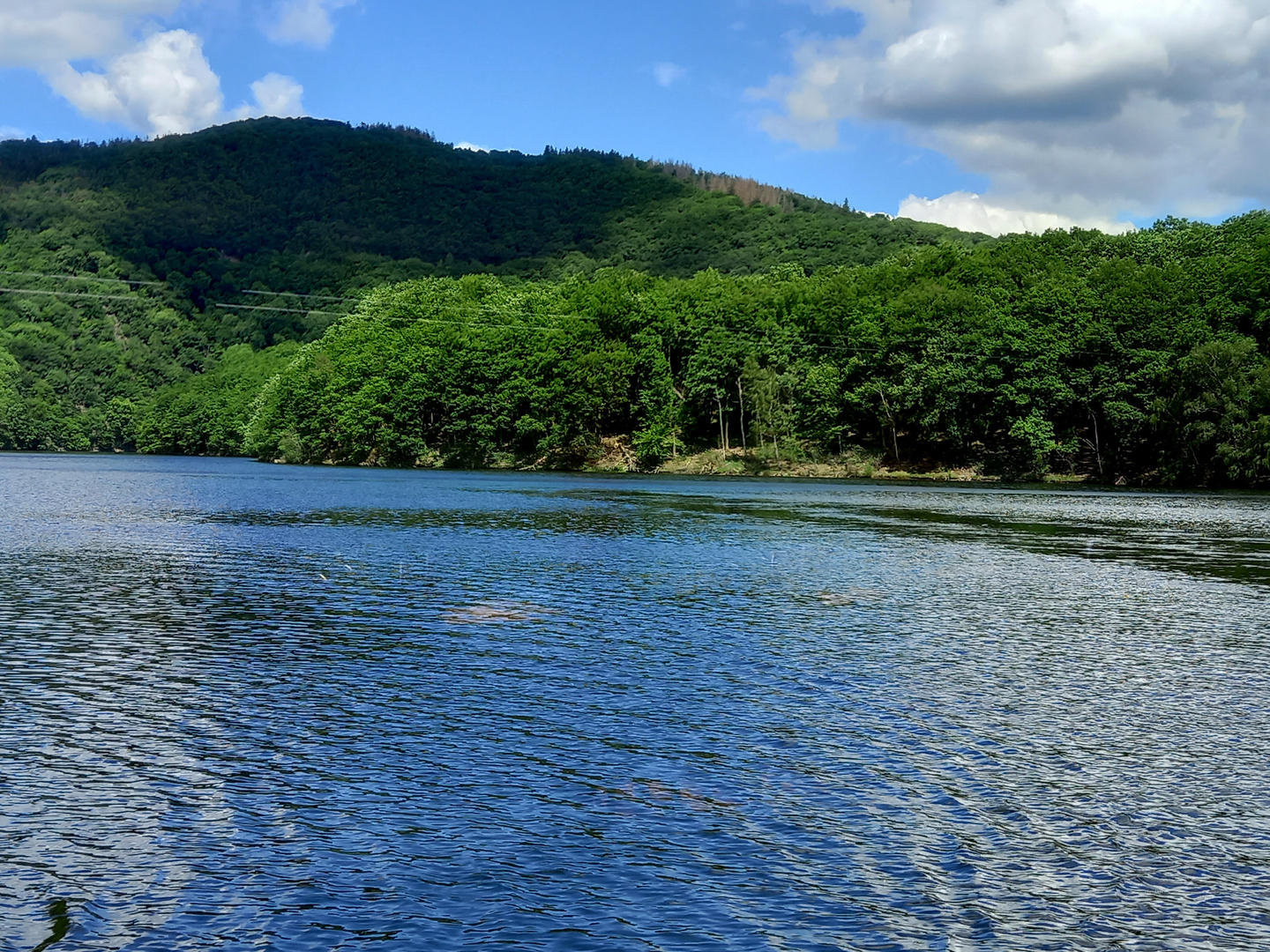 Im Rursee in der Eifel