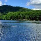 Im Rursee in der Eifel