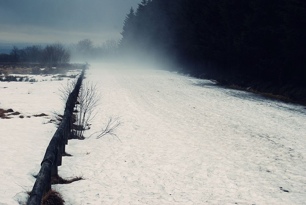 Im russischen Nebel