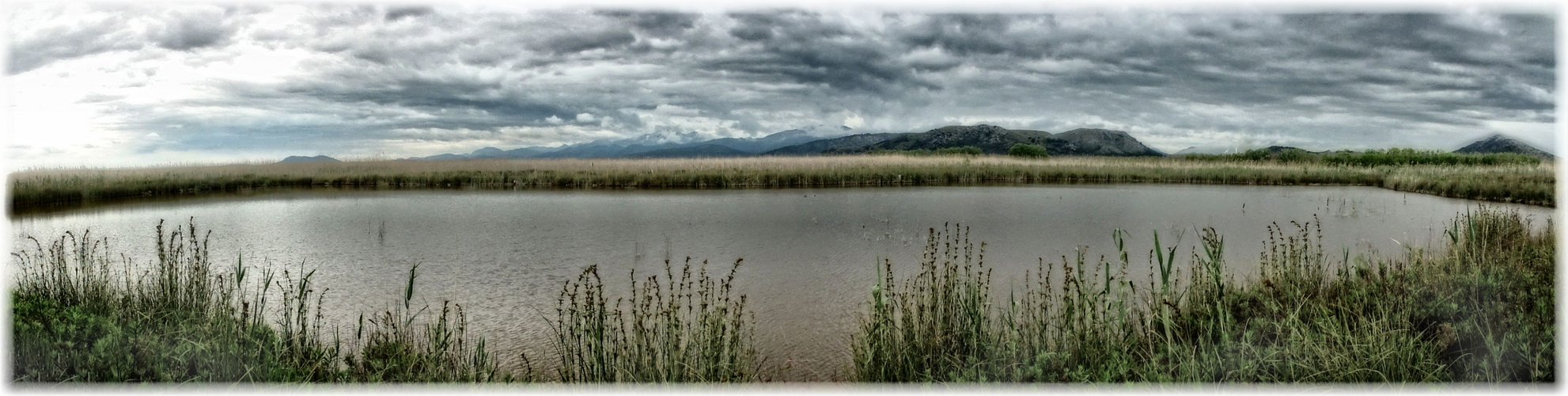 Im 'S Albufera' - Naturpark