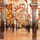 Im Säulenwald der Mezquita von Cordoba