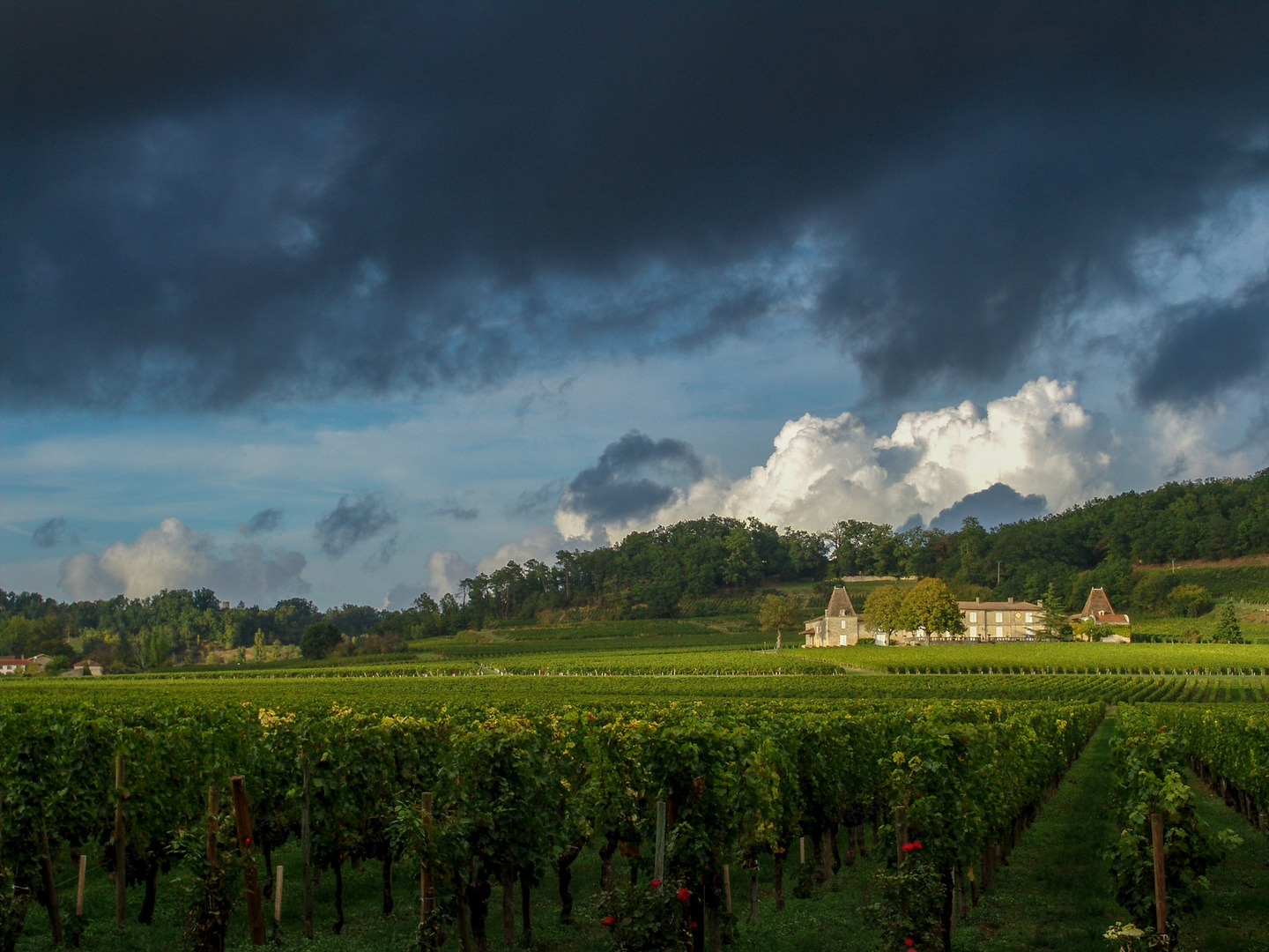 Im Saint Emilion