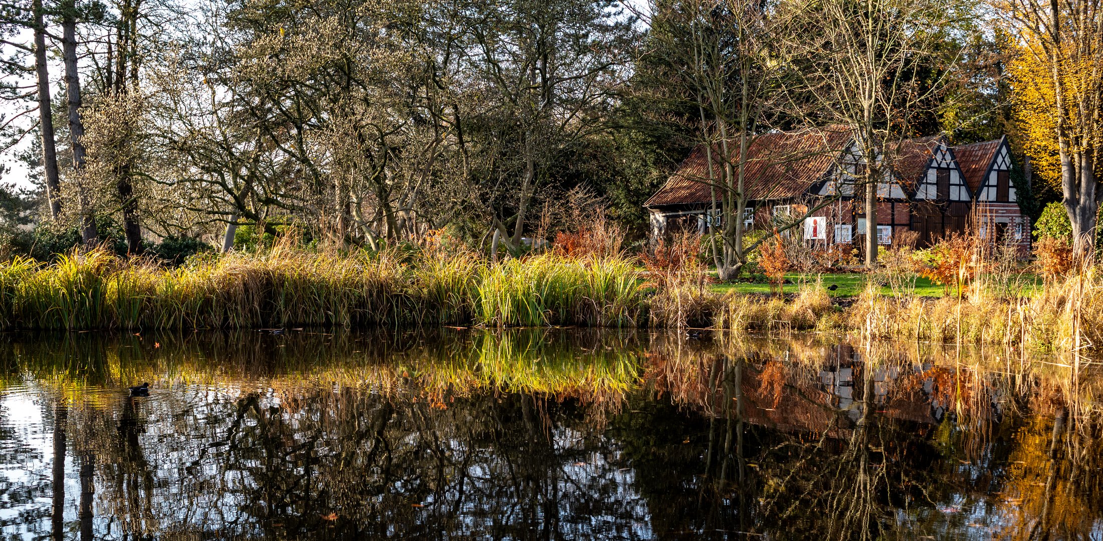 Im Salinenpark in Rheine