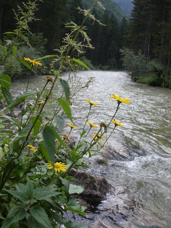 Im Salzburger Land -01