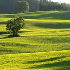 Im Salzburgerland