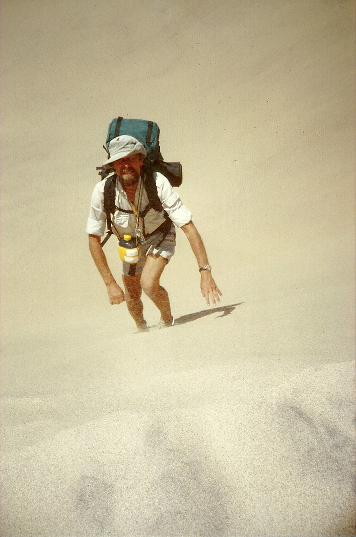 Im Sand der Namib-Wüste