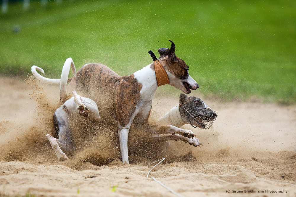 Im Sand gelandet