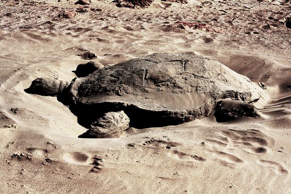 Im Sande verlaufen ..