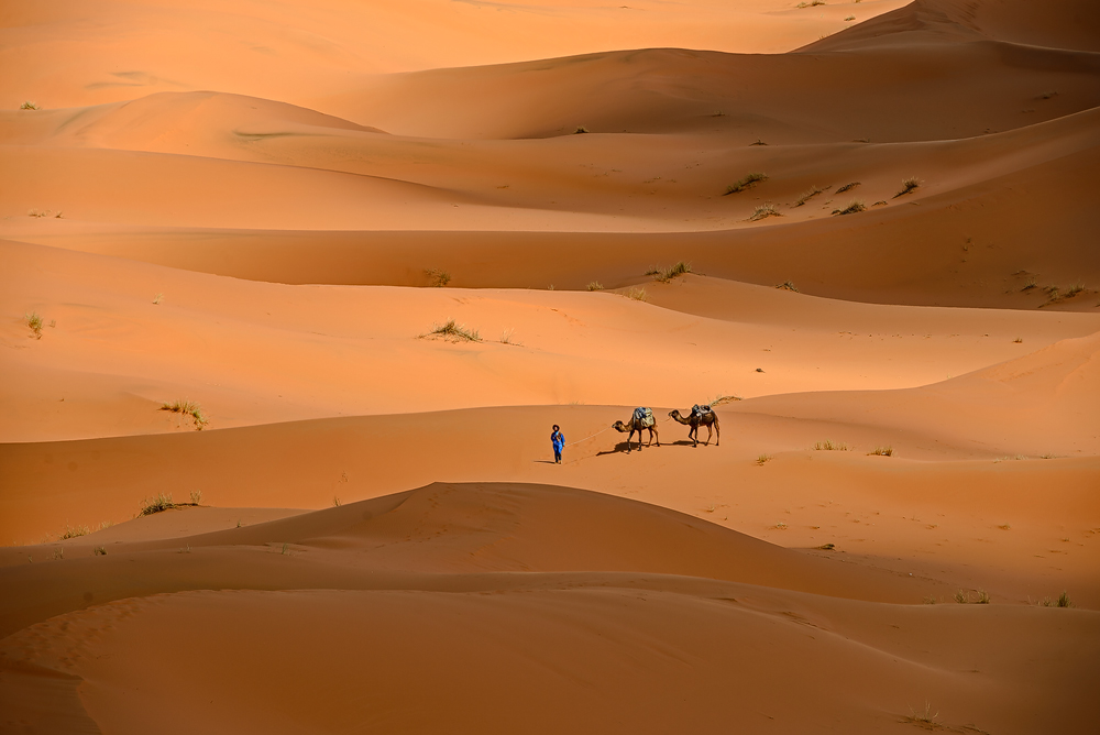 Im Sandmeer des Erg Chebbi