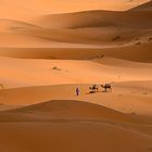 Im Sandmeer des Erg Chebbi