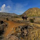 Im Sandmeer des Vukans Bromo 2