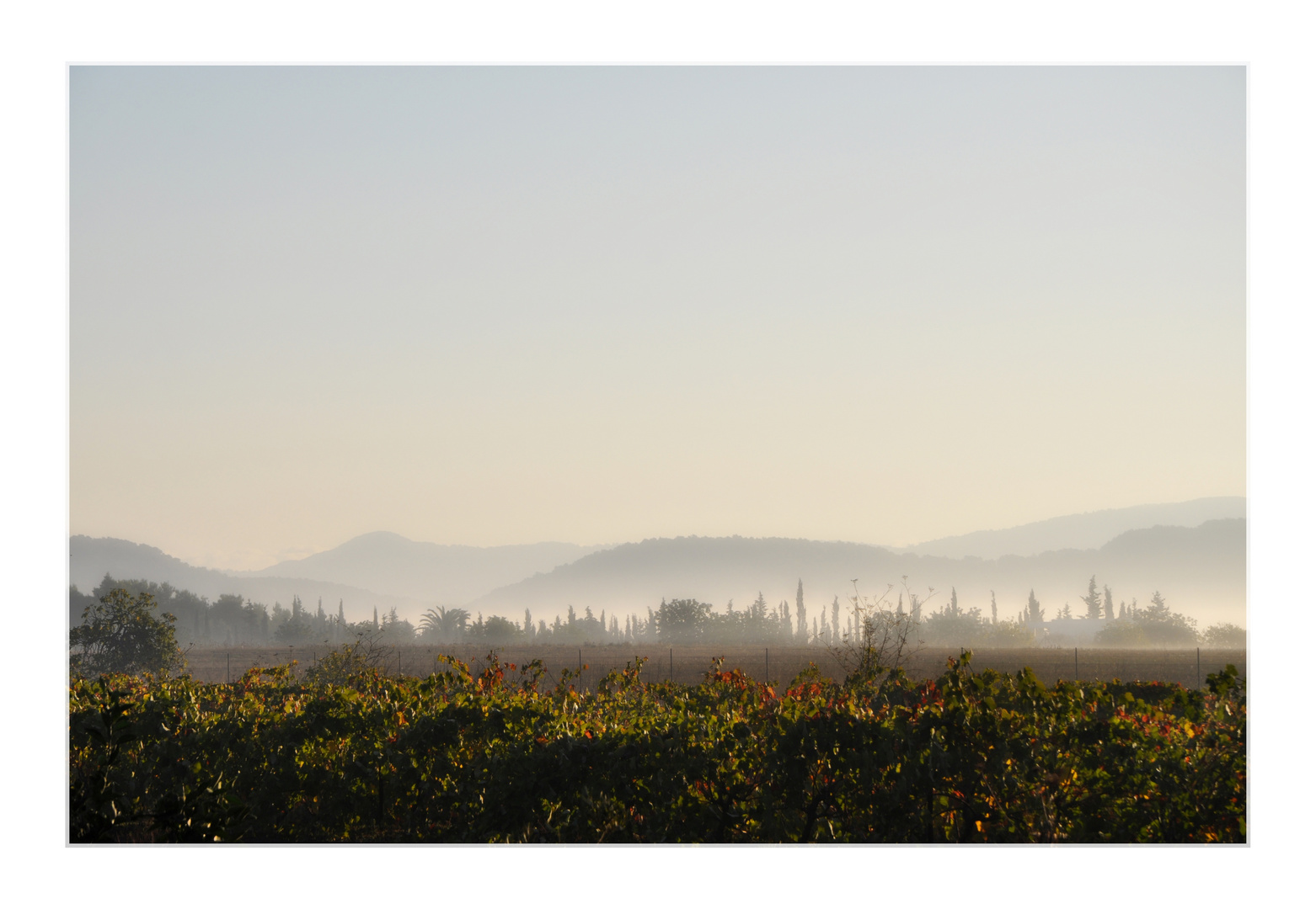 im sanftem nebel ruhet noch die welt ...