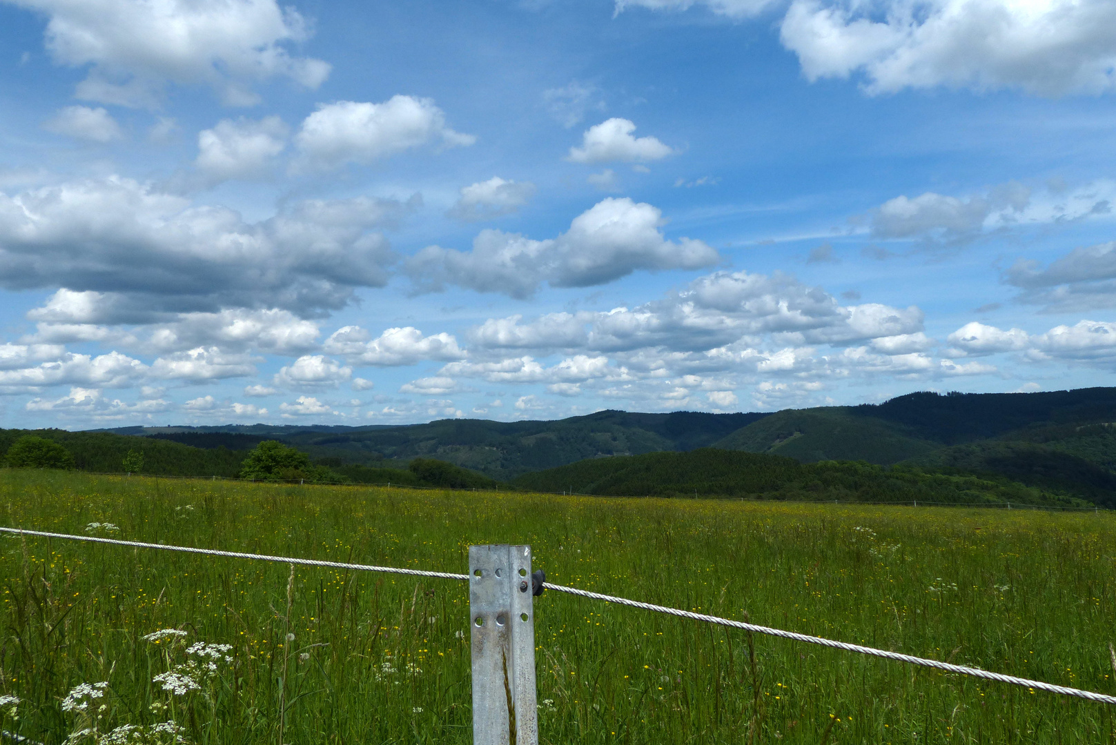 °°°° Im Sauerland °°°°