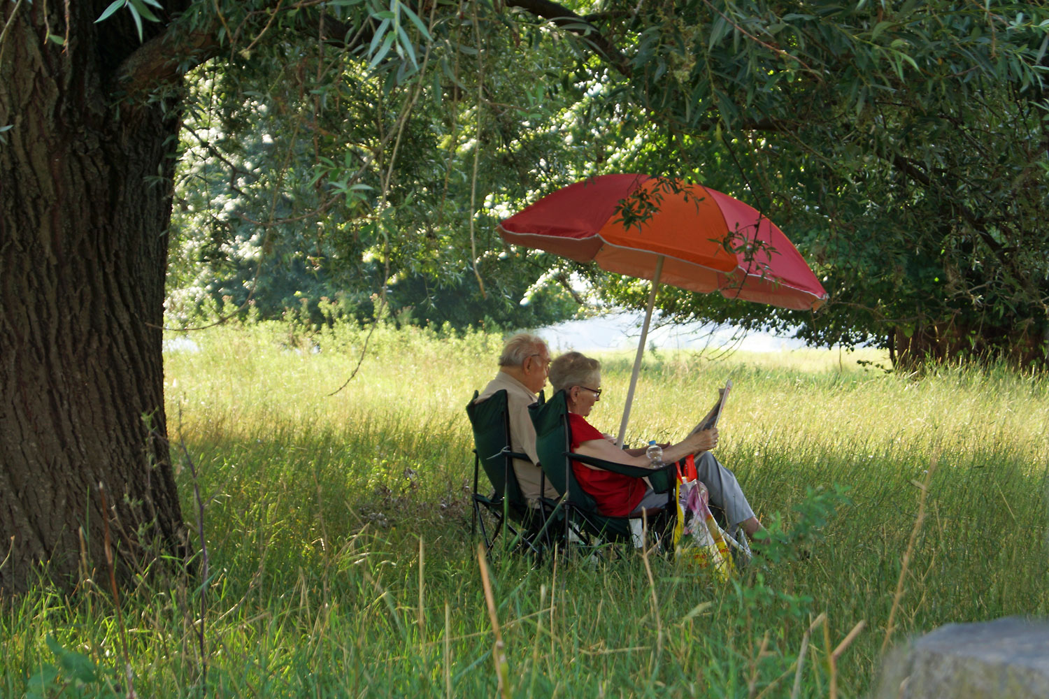 Im Schatten Foto & Bild spezial, baum, schatten Bilder