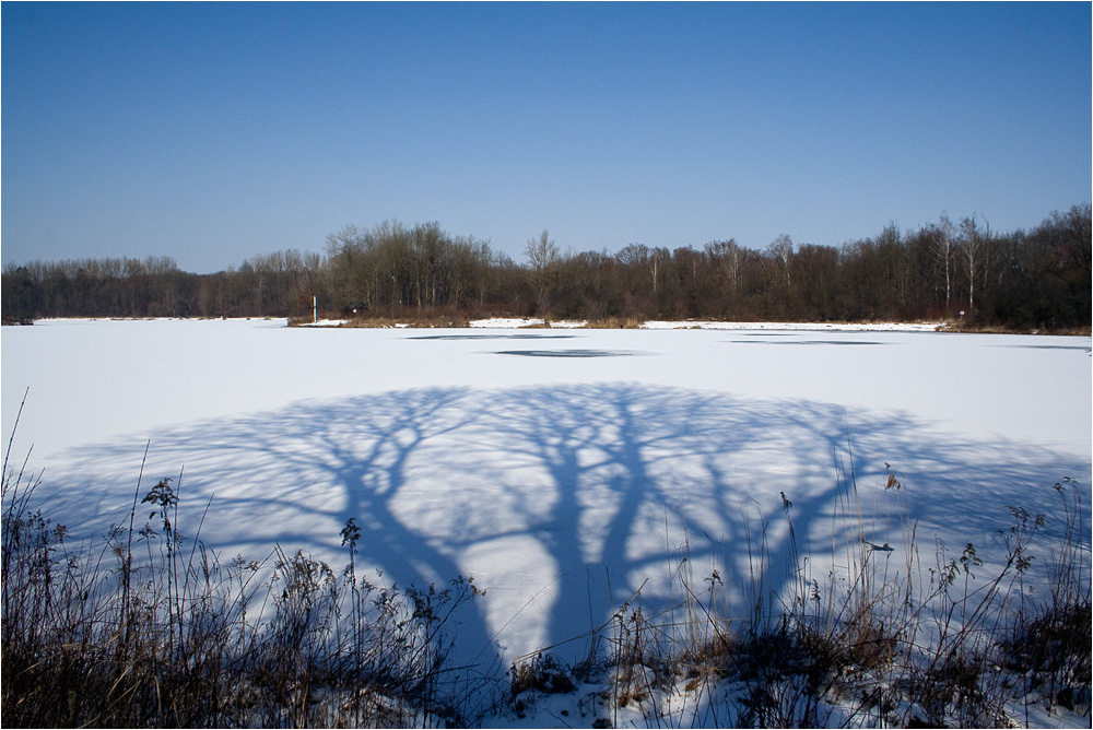 Im Schatten