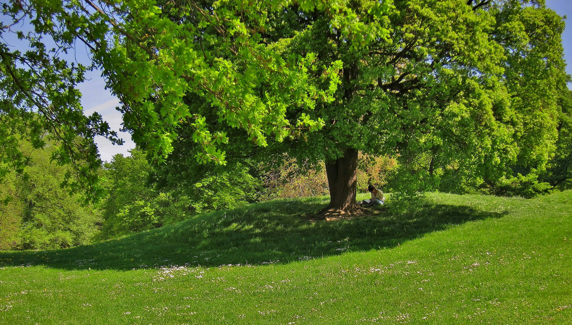 im Schatten