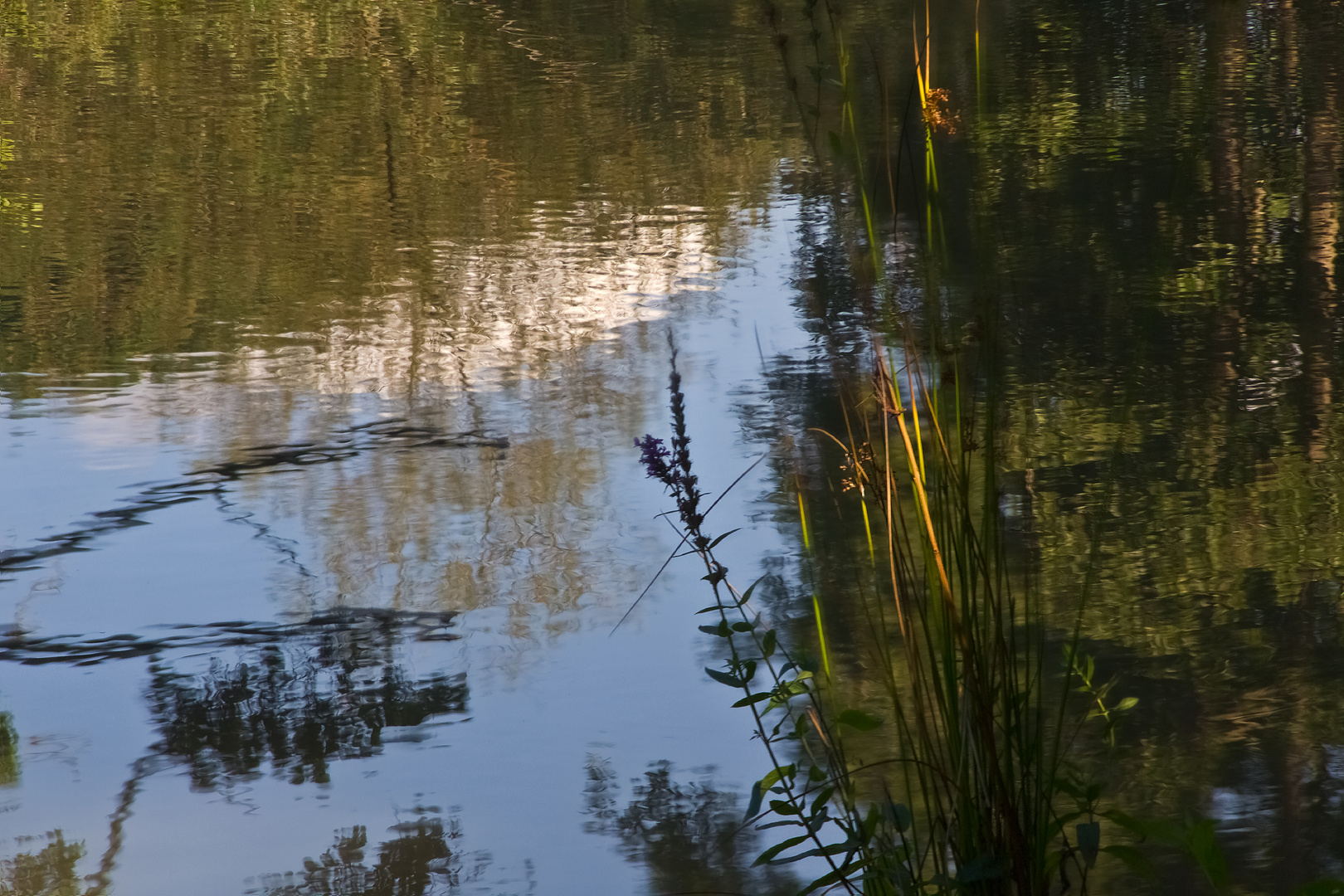 Im Schatten am Fluß