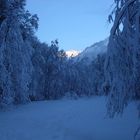 im Schatten der Berge