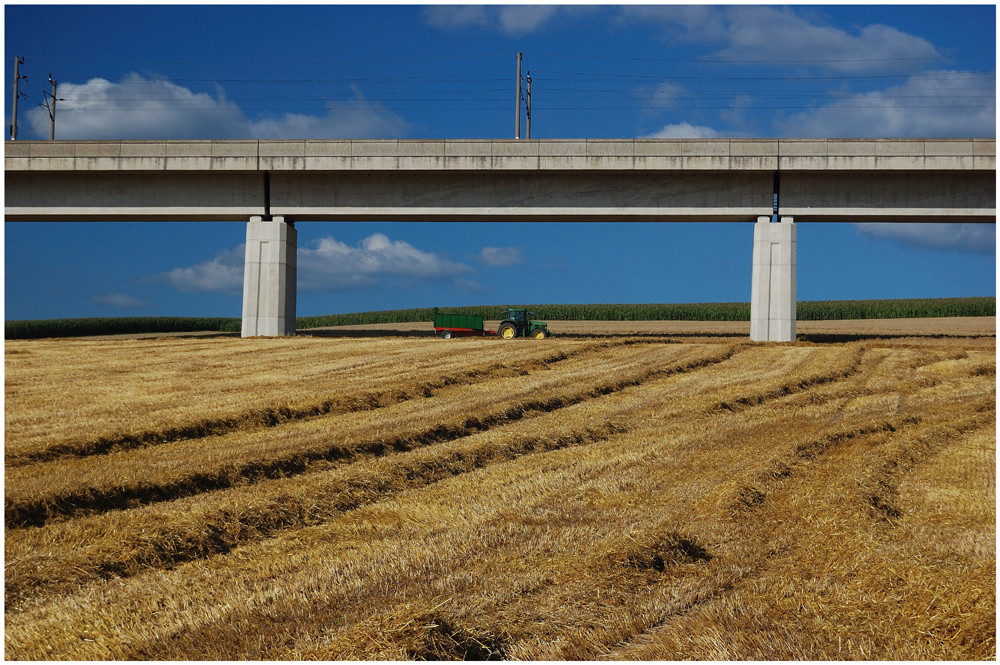 Im Schatten der Brücke