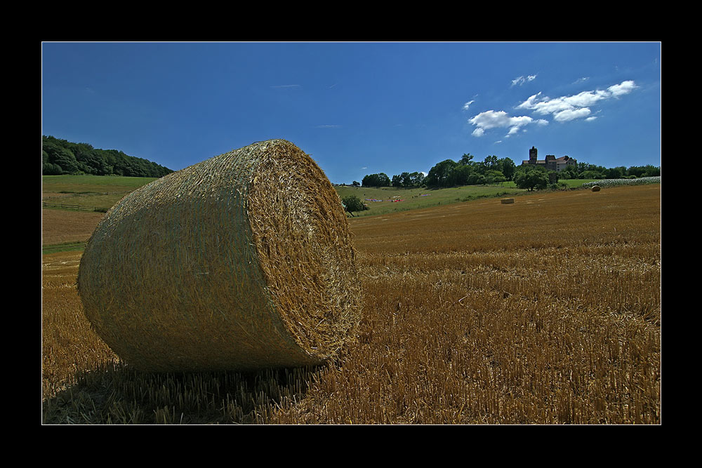 Im Schatten der Burg